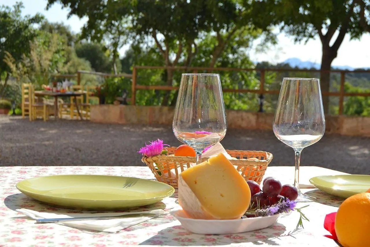 061 Finca Rafal Des Turo Etv8343 By Mallorca Charme Santa Margalida 0*,  Spain